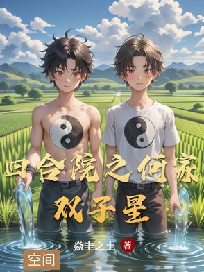 四合院之何家双子星大结局