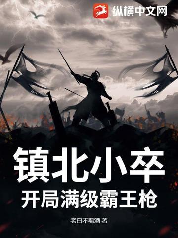 里面有镇北王的
