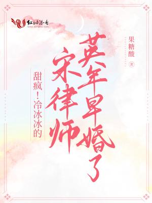 宋承宪主演电视剧大全律师情人