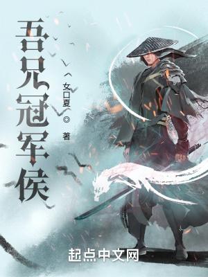 吾兄冠军侯动画片合集