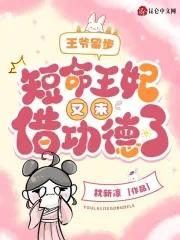 王爷王妃走了