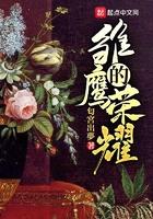 雏鹰的荣耀优书