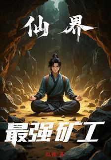 仙界矿工系统