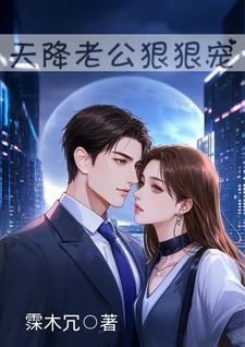 天降老公无限宠txt