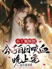 好看的丫鬟公子文