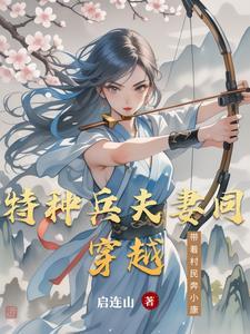 特种兵穿越当军嫂的
