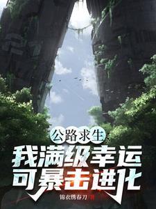 公路求生从破旧汽车开始锦衣绣春刀/番茄