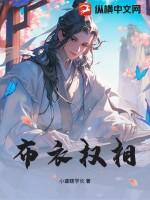 布衣权至使将军