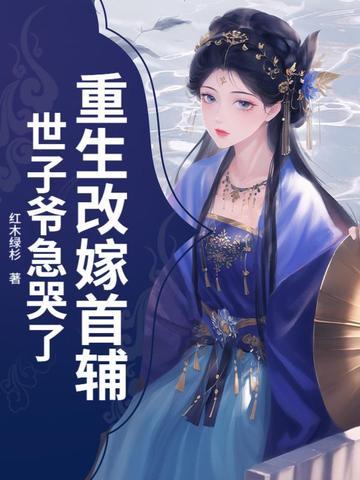 重生嫁给首辅类