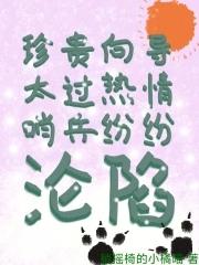 向导哨兵短篇