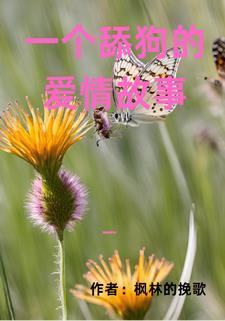 舔狗式的爱情说说