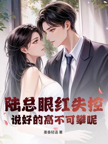 陆总是谁