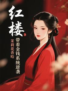 带着红楼到红楼