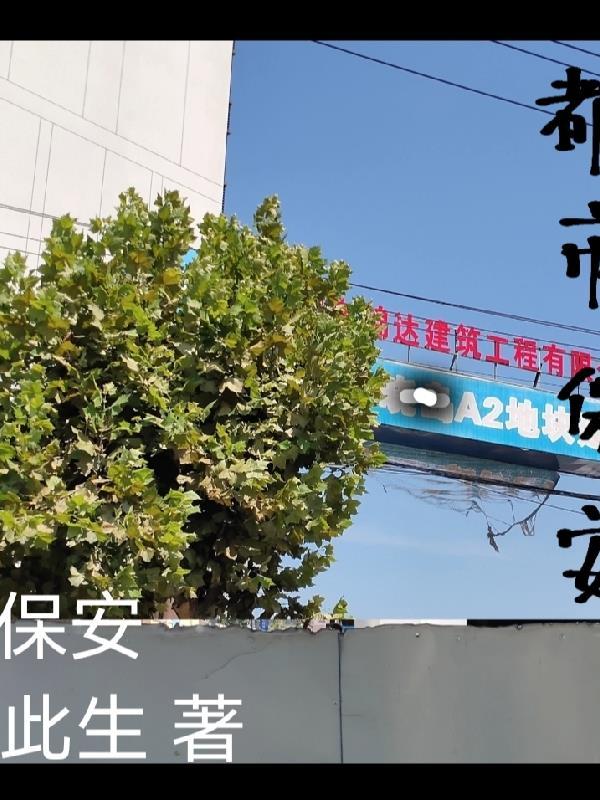 保安在都市罗军