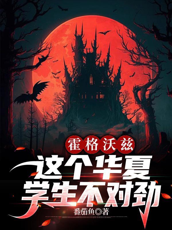 霍格沃兹之中国
