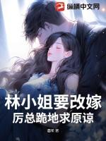 林小姐的追夫日常