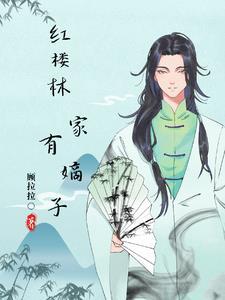 红楼之林家有子by青梅如豆txt