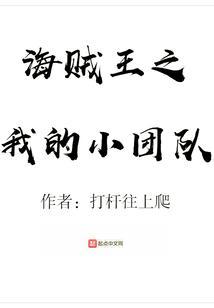 海贼王之组织