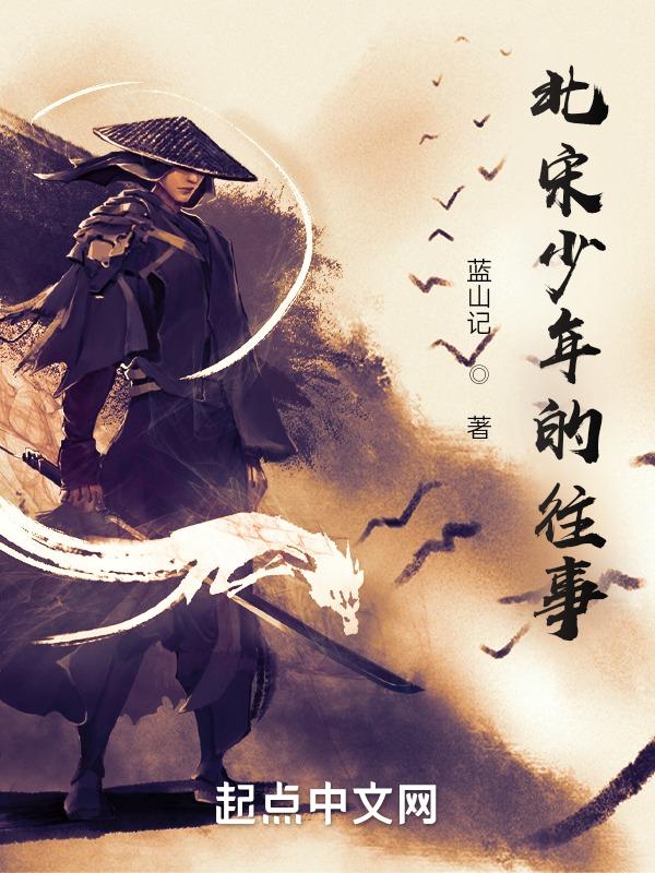 北宋少年的往事有哪些