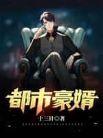 都市豪门女婿免费阅读