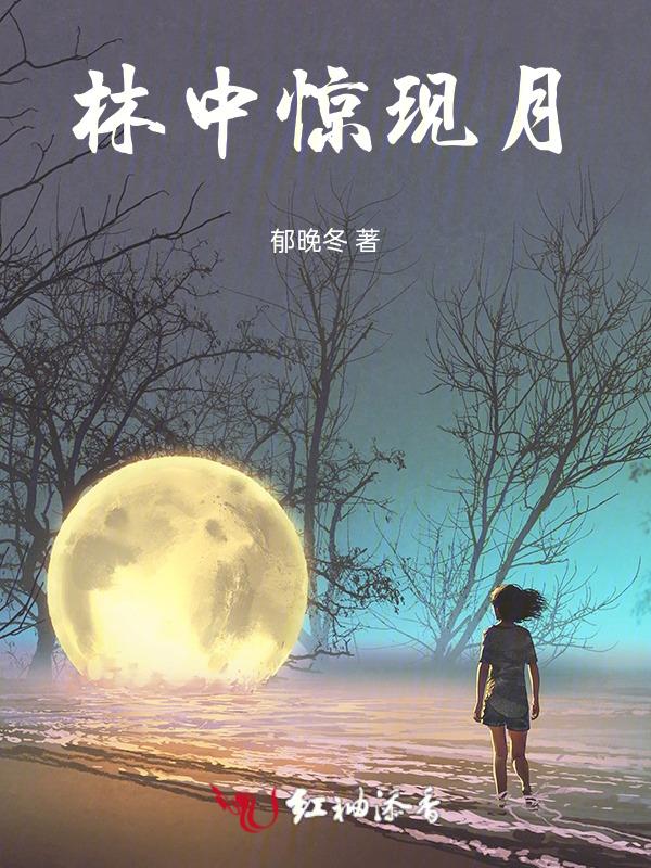 林中静月下隐
