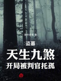 盗墓九当家