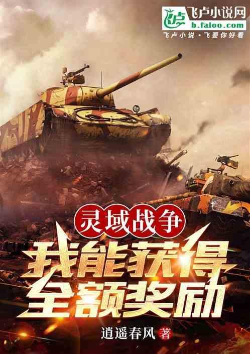灵域网络游戏