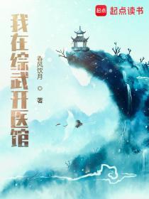 我在综武开医馆TXT