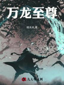万龙至尊龙辰