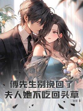 傅先生别追了