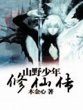山野少年武功绝世医术高人