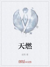天燃气灶哪个品牌最好最实用