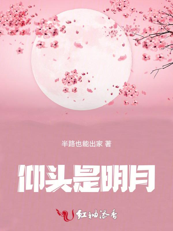 仰头看明月寄情千里光的意思