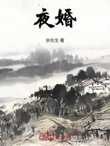 夜婚av