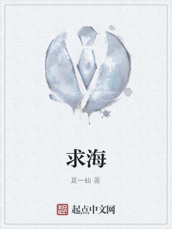 求海岛上的山峰的高度这本书的名称是