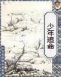 少年追命全文在线阅读笔趣阁
