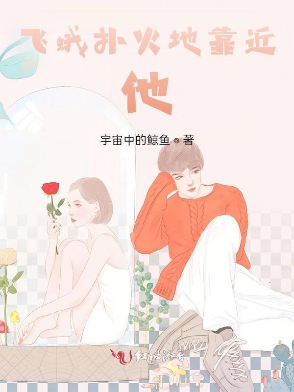 飞蛾扑火的下一句怎么说