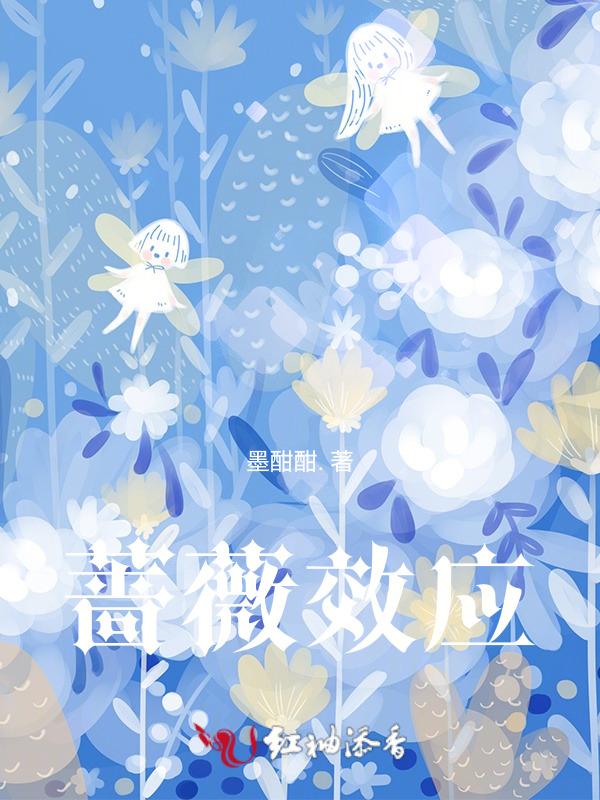 蔷薇预示着什么
