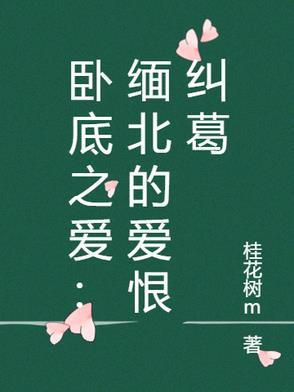 卧底纪实在缅甸
