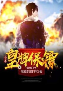 王牌保镖解说