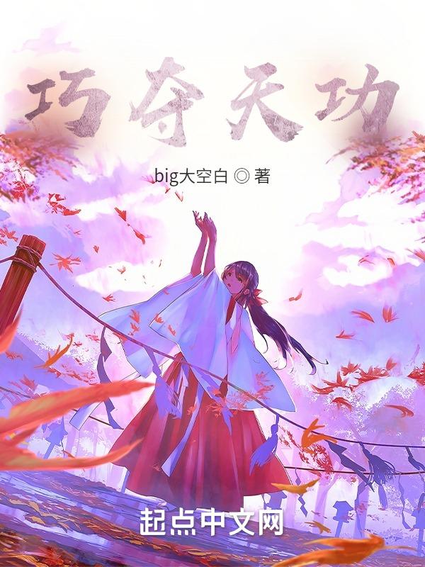 巧夺天什么