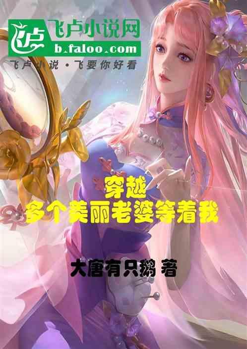 男子穿越娶多个老婆的