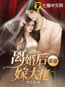 离婚后带着儿子发家致富[穿书