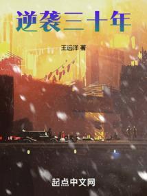 30岁逆袭的人