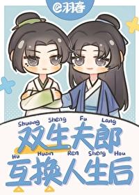 双生夫郎互换人生后番外TXT