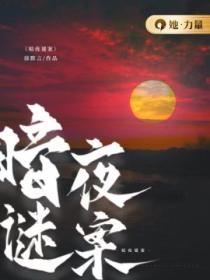 暗夜谜案电视剧免费观看全集