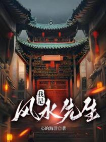 我是个风水先生