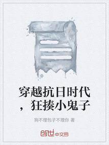 穿越抗日年代
