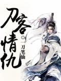 刀客剧情介绍