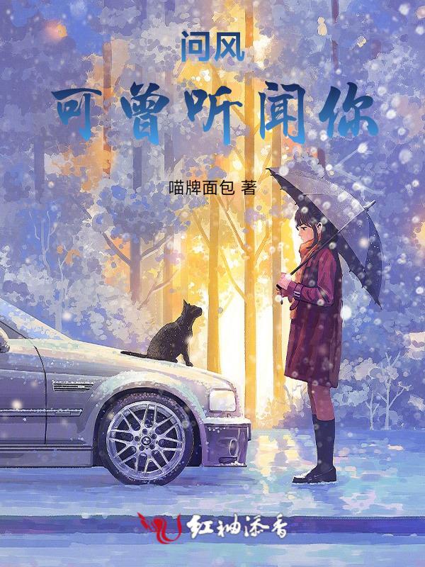 曾风闻有你歌词